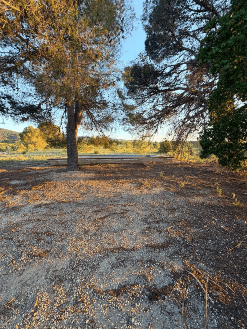 FINCA RÚSTICA CON MASÍA A REFORMAR | 35.000 m² | Vistas panorámicas